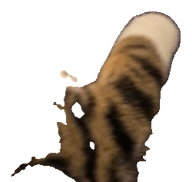Panic Cat's striped paw, mid-descent.